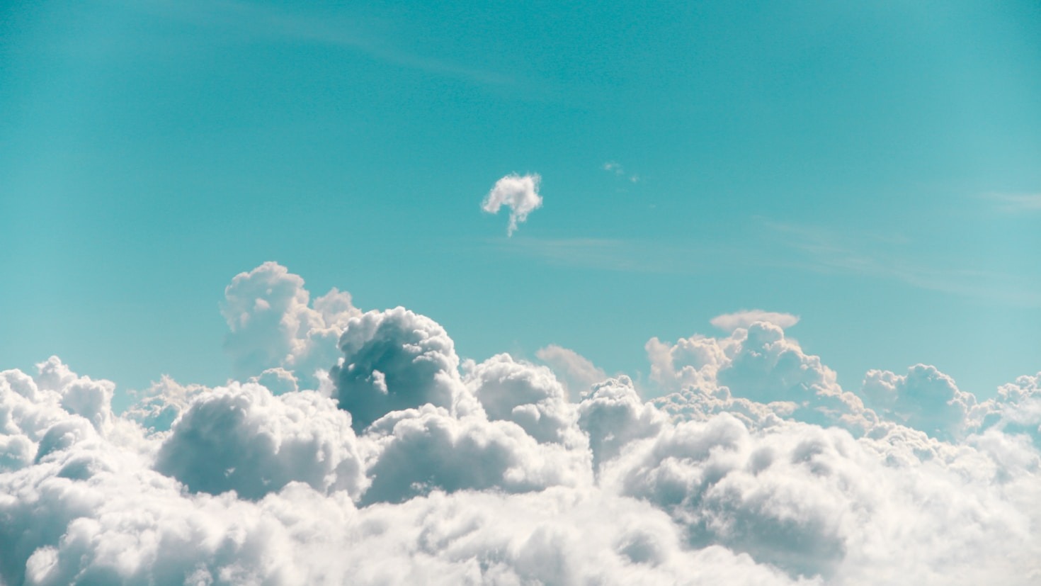 Scaling Your Business in the Digital World